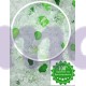 Наповнювач для котів силикагелевий AnimAll Green 10.5 Л
